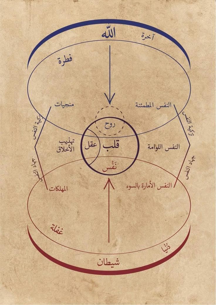 العلم اللدُنّي عند الصوفية: تحرير المفهوم، وبيان الشُّبهات، وتقويم المنهج